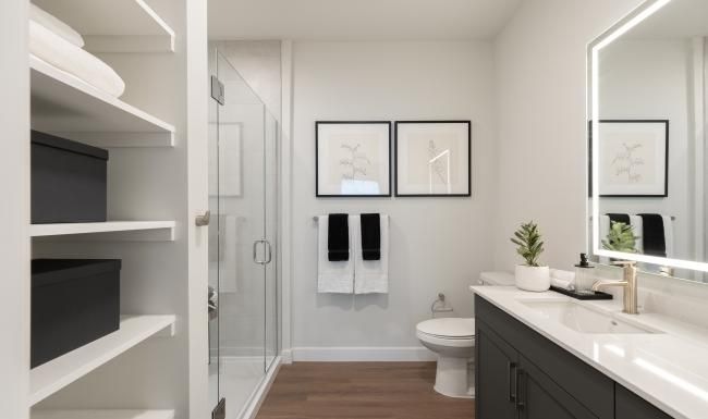 Bathroom options with thoughtful details a bathroom with a sink toilet and mirror